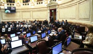 el senado ya puso fecha para tratar los vetos de javier milei el senado ya puso fecha para tratar los vetos de javier milei