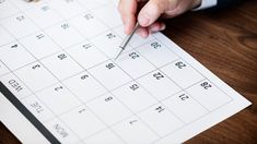 El viernes 24 de marzo es feriado nacional. El viernes 24 de marzo es feriado nacional.