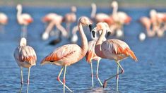 En Córdoba se destacan un lago y una laguna especiales para visitar en el año 2026. En Córdoba se destacan un lago y una laguna especiales para visitar en el año 2026.