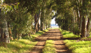 Escapadas de Buenos Aires: el histórico pueblo para conocer en una travesía a caballo