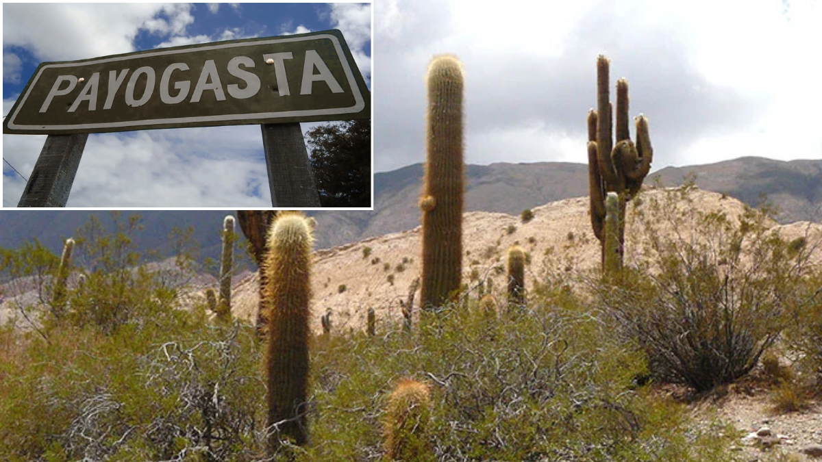 No son famosos: estos son los 4 destinos ocultos de Salta que son perfectos para visitar
