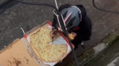 Un repartidor comió la porción de una pizza y la acomodó para que no se note.