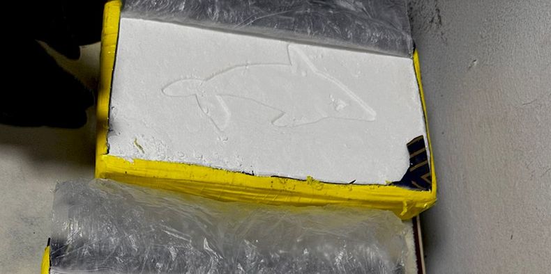 Los panes de cocaína cuentan con la imagen de un delfín en bajorrelieve.