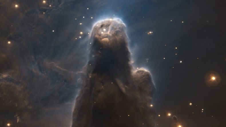 Video: capturan imágenes de una gigantesca fábrica de estrellas