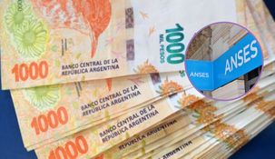 ANSES entregará varios beneficios por $118.379 en febrero. ANSES entregará varios beneficios por $118.379 en febrero.