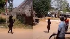 La cabra que camina en dos patas se volvió viral en TikTok La cabra que camina en dos patas se volvió viral en TikTok