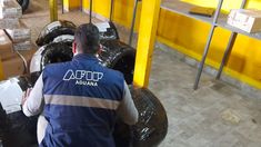 En el operativo se secuestraron neumáticos y termos falsificados. En el operativo se secuestraron neumáticos y termos falsificados.