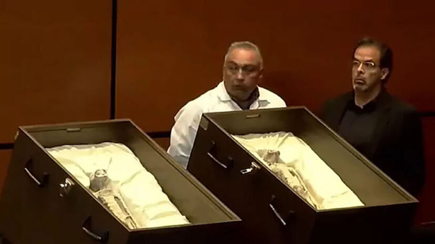 Argentina estuvo presente en la audiencia pública desde las organizaciones como CEFORA y ALAS.&nbsp;