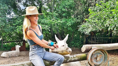 Nicole Neumann presentó a su cerda Pepa: Fue rescatada y le di un hogar Nicole Neumann presentó a su cerda Pepa: Fue rescatada y le di un hogar