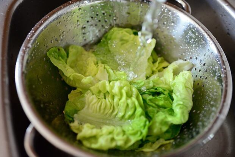 Cómo mantener la lechuga fresca y saludable.