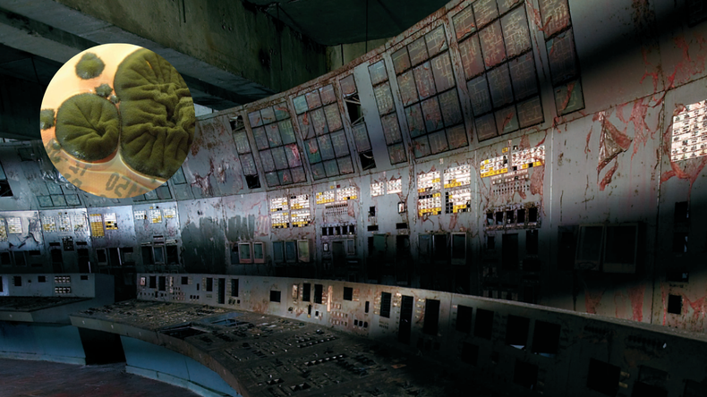 Chernobyl lejos de ser un tema del pasado
