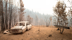 El fuego destruyó casas, bosques nativos y mató animales.&nbsp;