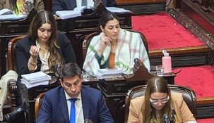 Marcela Pagano llegó al Congreso alrededor de las 8.