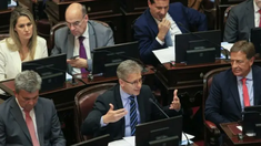 El bloque de la UCR pidió la convocatoria a sesiones extraordinarias con un temario que incluya Ficha Limpia.