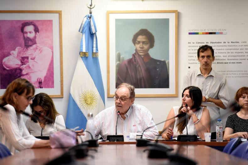 El Frente de Todos logró un dictamen favorable al proyecto de moratoria previsional.
