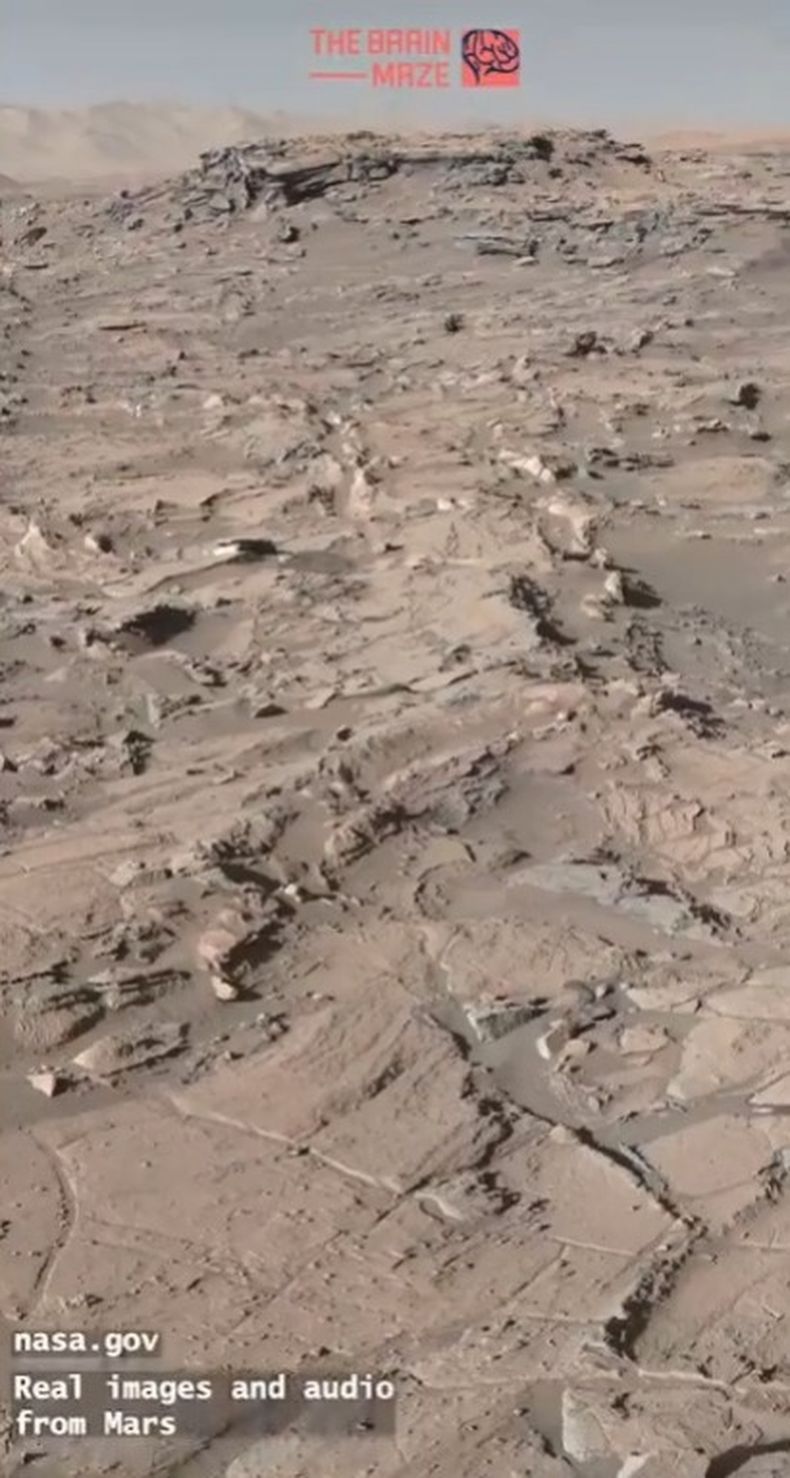 Ups, la NASA podría haber acabado con la vida en Marte, image size:790x1478