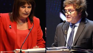 El video viral de Patricia Bullrich sobre Javier MIlei.