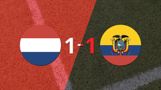 qatar 2022: en el estadio khalifa international stadium, paises bajos empato 1-1 con ecuador qatar 2022: en el estadio khalifa international stadium, paises bajos empato 1-1 con ecuador