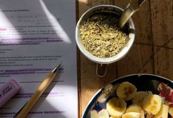 Si te gusta el mate y estás sufriendo insomnio te proponemos un ritual a base de un saludable yuyo.