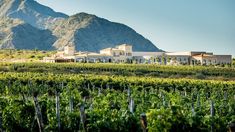 Un destino del norte argentino que combina historia, sabores y naturaleza. Un destino del norte argentino que combina historia, sabores y naturaleza.