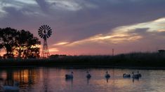 La escapada cerca de Buenos Aires a un pueblo excelente para desintoxicarse de la ciudad.