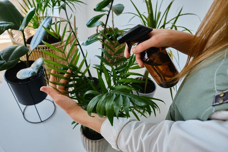 El jabón potásico es un pesticida natural y de gran eficacia.
