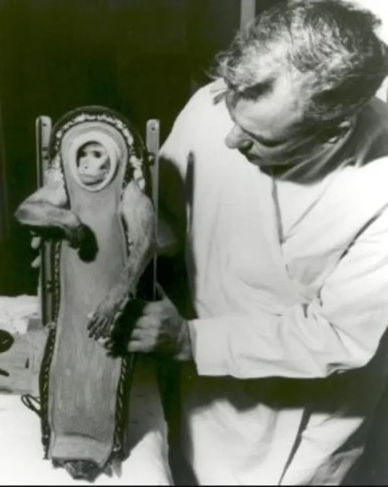 El mono Juan, el primer astronauta argentino.