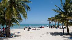 Este lugar se transformó en un parque público que preserva la esencia tropical de Florida. Este lugar se transformó en un parque público que preserva la esencia tropical de Florida.