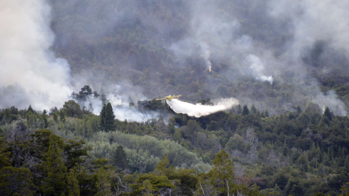 Los Incendios En El Parque Nacional Los Alerces Arrasaron Ya Más De 3000 Hectáreas 0364