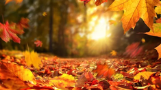 En Argentina, el equinoccio de marzo ocurrió el jueves 20 de marzo a las 6.01 de la mañana. En Argentina, el equinoccio de marzo ocurrió el jueves 20 de marzo a las 6.01 de la mañana.