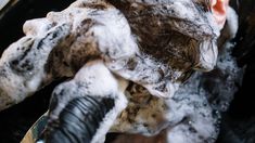 Una joven no se corta el pelo hace 19 años. Una joven no se corta el pelo hace 19 años.