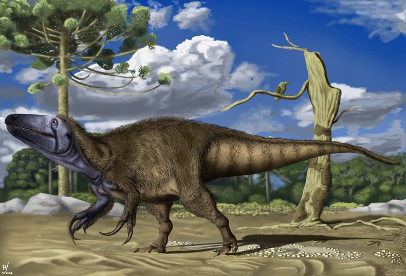 Rinconraptor pipoae.&nbsp;