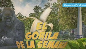 El Gorila de la semana, la sección imperdible de PPT.