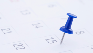 Los Feriados en noviembre
