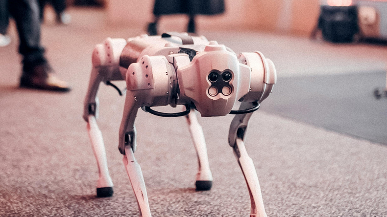 En su lugar, los compañeros podrían ser seres diseñados desde cero, incluyendo animales híbridos creados en laboratorios y robots con personalidades programables.