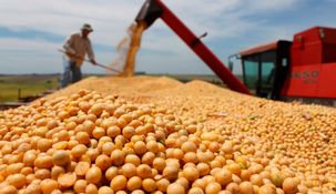Agroexportadores liquidaron u$s6,43 millones este lunes.