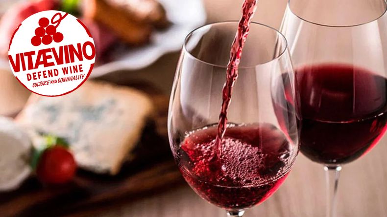 Vitaevino: de qué se trata la iniciativa europea en defensa del vino y los productores vitivinícolas.