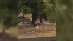 Cinthia Fernández denunció que le hicieron una macumba y subió el video Cinthia Fernández denunció que le hicieron una macumba y subió el video