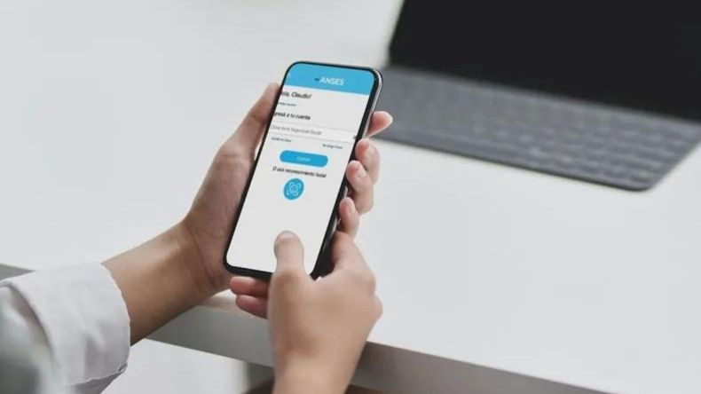 En solo cinco minutos, y con unos pocos pasos, se podrá obtener un resumen detallado de las contribuciones al sistema de seguridad social.  