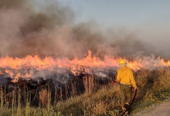 El fuego obligó a cerrar uno de los accesos a los Esteros del Iberá.