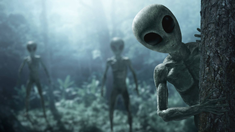 Estados Unidos confirmó que recuperaron restos biológicos no humanos de ovnis Estados Unidos confirmó que recuperaron restos biológicos no humanos de ovnis