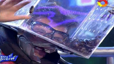 Canta si puedes: el concursante al que le llenaron la cara de muchísimas cucarachas Canta si puedes: el concursante al que le llenaron la cara de muchísimas cucarachas