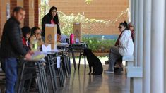 Los voluntarios acreditados por la CNE emitirán un informe sobre la jornada electoral con conclusiones y recomendaciones