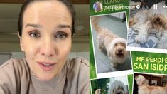 La actriz recurrió a sus seguidores para buscar a su mascota. La actriz recurrió a sus seguidores para buscar a su mascota.
