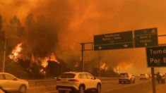 Las autoridades esperan que el saldo de víctimas fatales asciendan con el correr de las horas Las autoridades esperan que el saldo de víctimas fatales asciendan con el correr de las horas