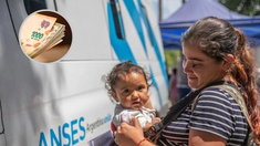 ANSES explicó quiénes cobran el Complemento Leche este mes. ANSES explicó quiénes cobran el Complemento Leche este mes.