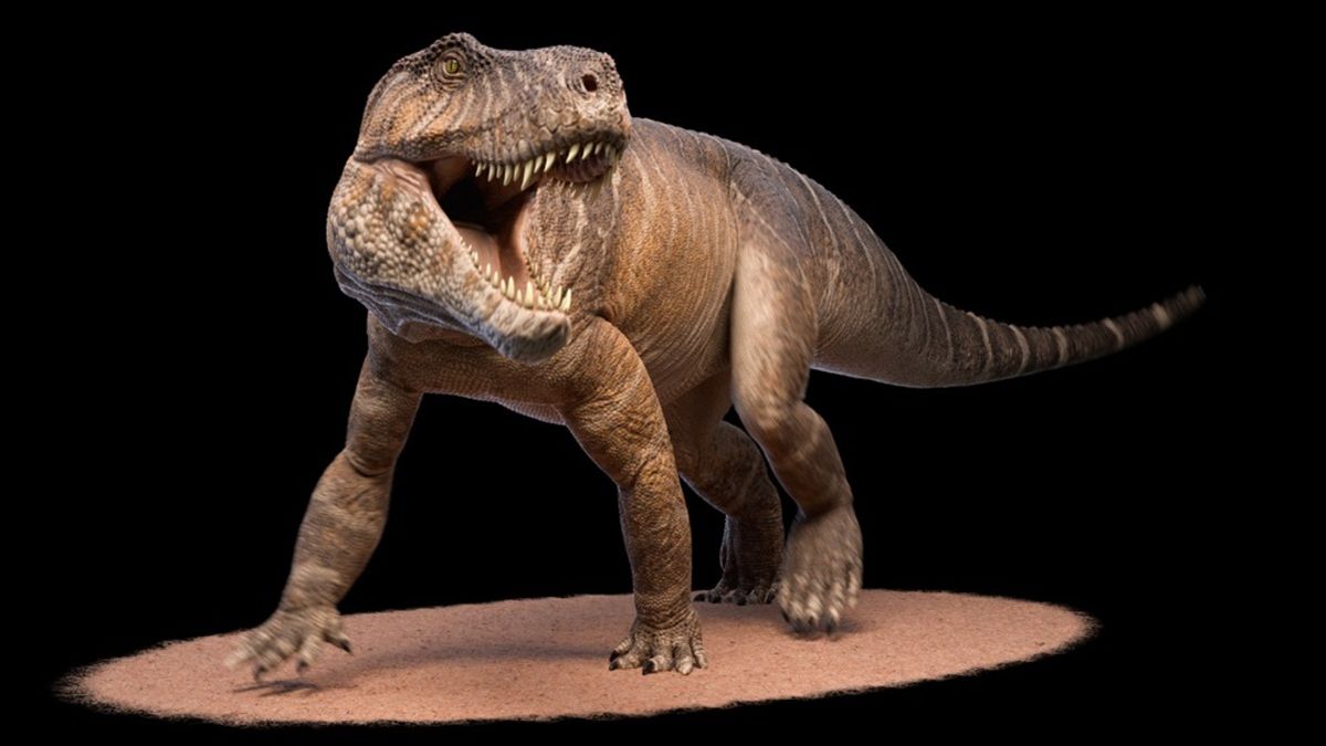 Científicos argentinos descubrieron una nueva especie de rep
