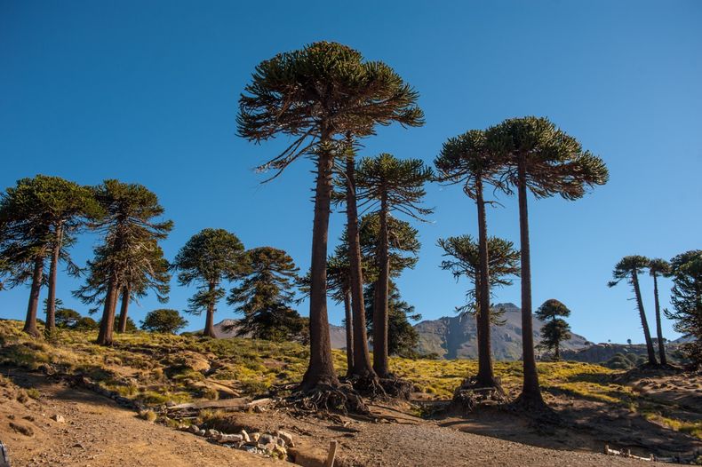 El pueblo de la Patagonia que te encandila con su belleza.