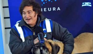 Javier Milei mostró por primera vez su perro Conan en un canal de streaming