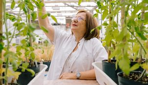 Chan es investigadora superior del CONICET, profesora de la Universidad Nacional del Litoral (UNL) y directora del Instituto de Agrobiotecnología del Litoral (CONICET-UNL). Chan es investigadora superior del CONICET, profesora de la Universidad Nacional del Litoral (UNL) y directora del Instituto de Agrobiotecnología del Litoral (CONICET-UNL).